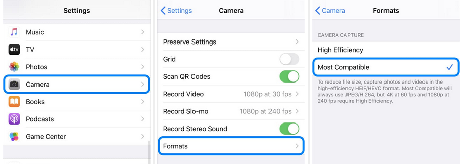 Screenshot showing settings, camera, formats.